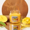 Yankee Candle Medium Jar - Mango Lemonade